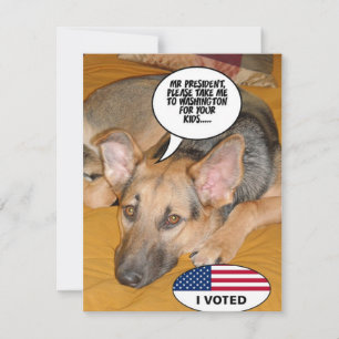 Carte Obama Pet/Whitehouse Humour