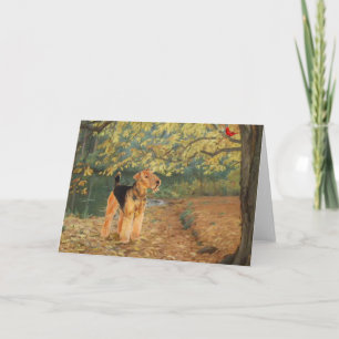 Carte Observation des oiseaux d'Airedale Terrier