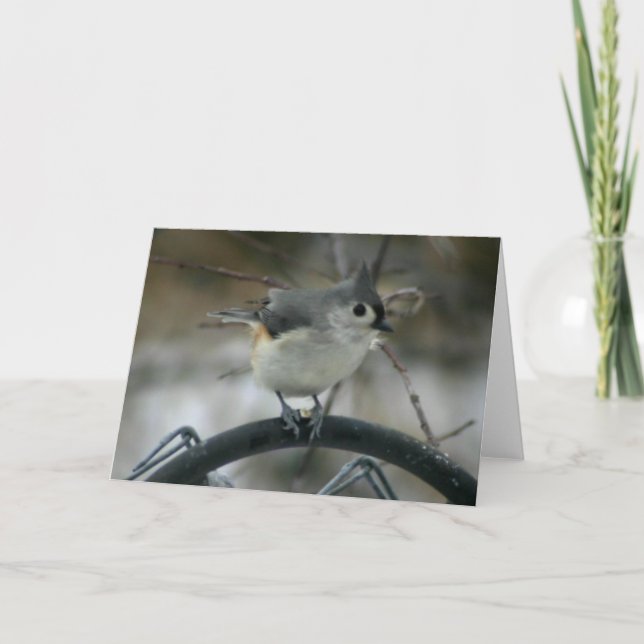 Carte Observation d'oiseau (Devant)