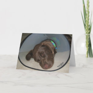 Carte Obtenez bien bientôt