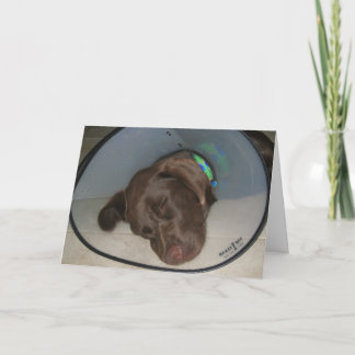 Carte Obtenez bien bientôt