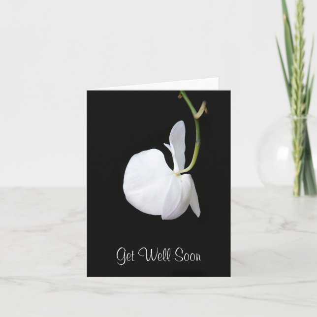 Carte Obtenez bien Bientôt Fleur Blanche accroché sur la (Devant)