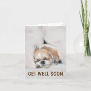 Carte Obtenez bien bientôt mignonne chiot chien shihtzu