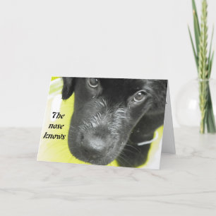 Carte Obtenez Bien Bientôt Puppy Grey Card