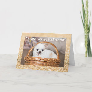 Carte Obtenez bien mignon chien chihuahua éclaboussure o