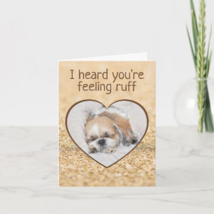 Carte Obtenez bien mignon chien shihtzu sommeil coeur pé