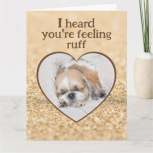 Carte Obtenez bien mignon chien shihtzu sommeil coeur pé