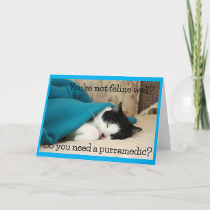 Carte Obtenez de bons voeux de chat noir et blanc