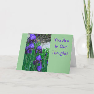 CARTE OBTENEZ DES IRISATIONS BIEN/PURPLE, "VOUS ÊTES DAN