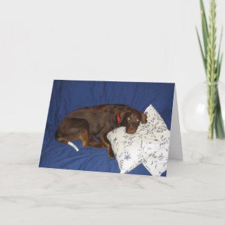 Carte Obtenez Jake bon