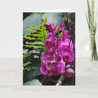 Carte Obtenez les orchidées bonnes
