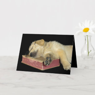 Carte Obtenir l'ancien Golden Retriever dans le livre