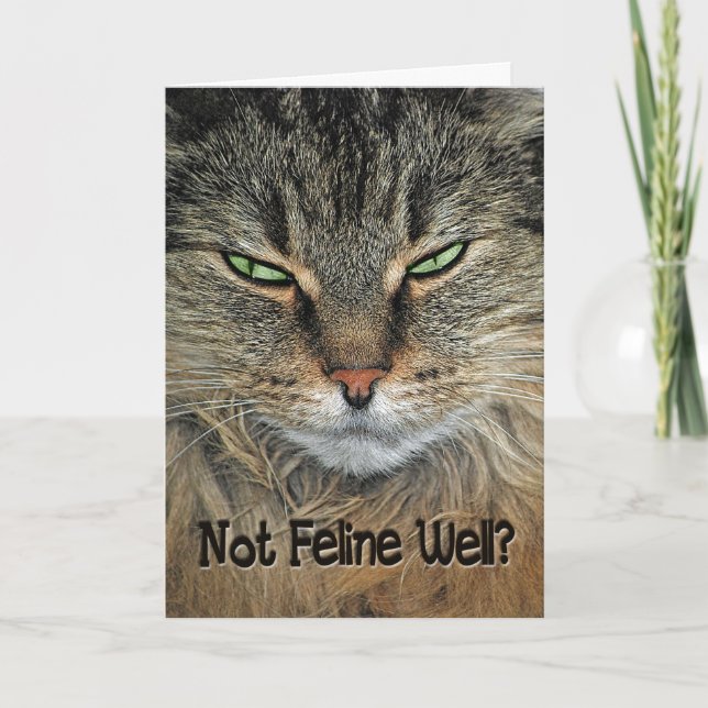 Carte Obtenir le meilleur chat (Devant)