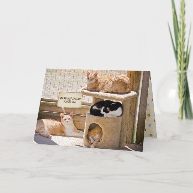 Carte Obtenir les vieux chats d'anniversaire (Devant)