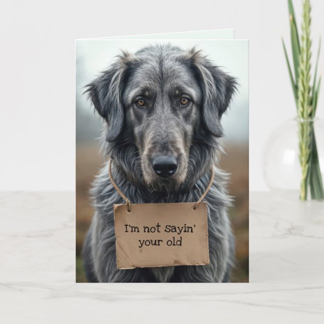 Carte Obtenir un chien gris vieux avec panneau en carton (Devant)