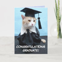 Obtention du diplôme