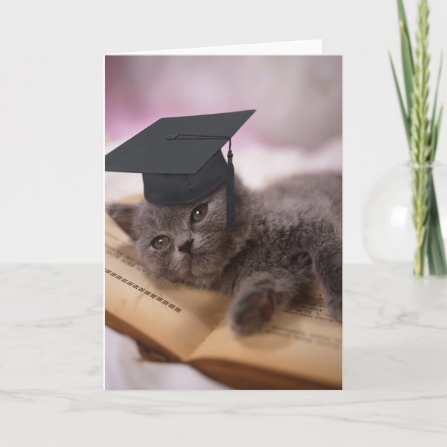 Carte Obtention du diplôme, chat avec le casquette (Devant)