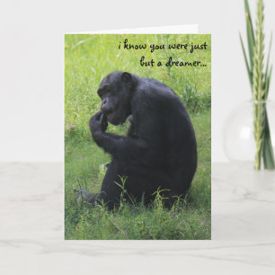 Carte Obtention du diplôme drôle, rêveur de chimpanzé,