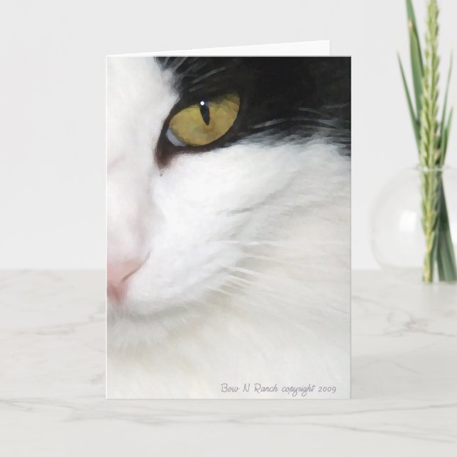 Carte OEil de chats (Devant)