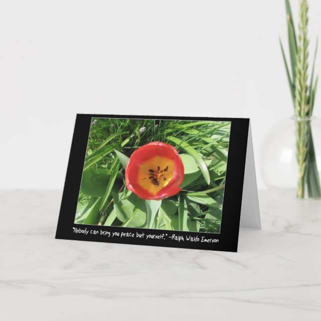 Carte Oeil de la tulipe (Devant)