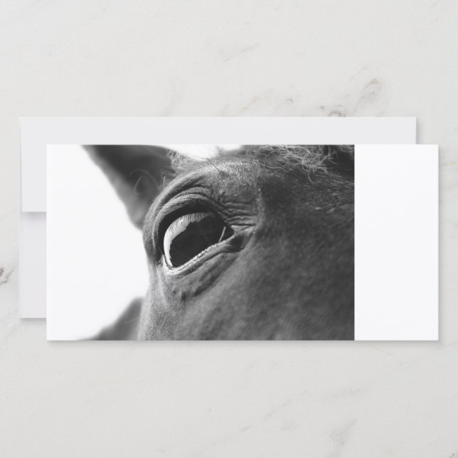 Carte Oeil du poney 1 (Devant)