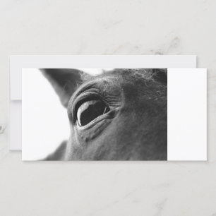 Carte Oeil du poney 1