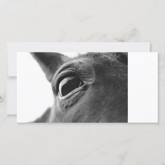 Carte Oeil du poney 1