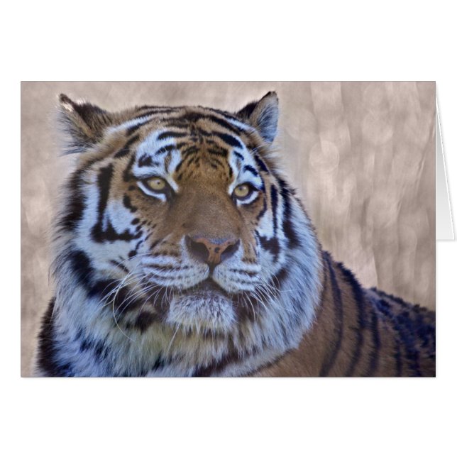 Carte Œil du Tigre (Devant horizontal)