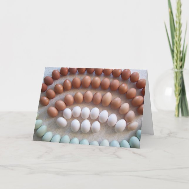 Carte Œufs arc-en-ciel pour poules de races rares (Devant)