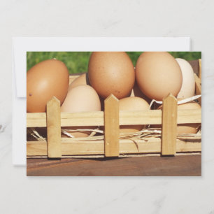 Carte oeufs de poulets naturels par pays