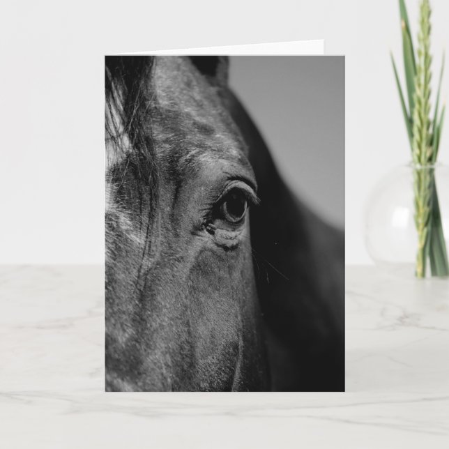 Carte Œuvre d'art de l'œil du cheval noir et blanc (Devant)