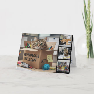 Carte Office Fun Cats Photo Card, Birthday, Cat