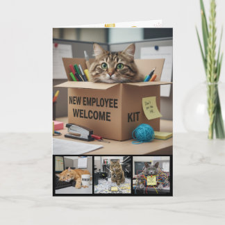 Carte Office Fun Cats Photo Card, Business Cat