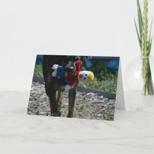 Carte Oh-Aucun M. Bill