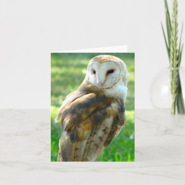 Carte Oh blanc de hibou (Devant)