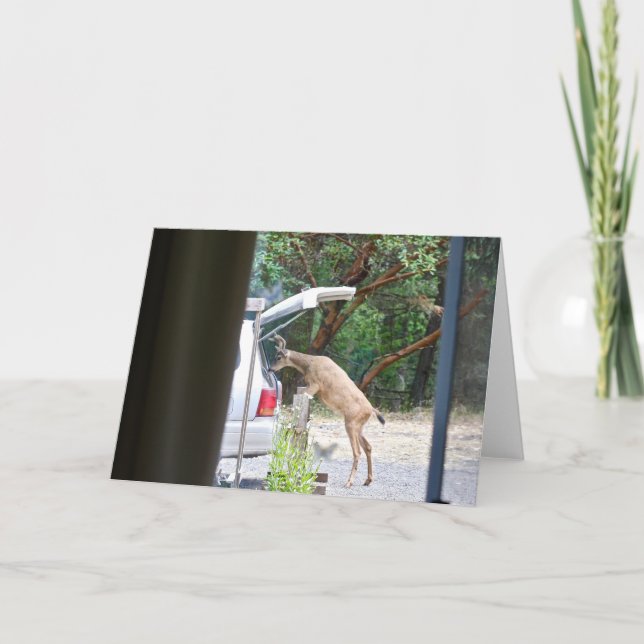 Carte Oh Deer ! (Devant)
