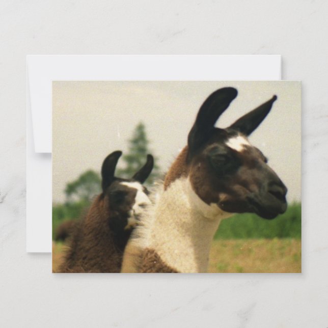 Carte Oh, Ramaaa (Devant)