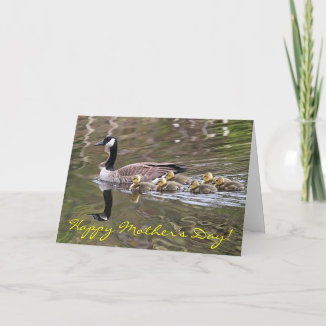 Carte Oie de mère et photo d'oies de bébé (Devant)