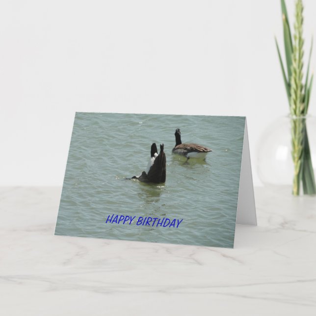 Carte Oie du bas, anniversaire (Devant)