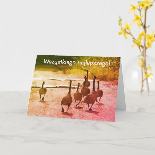 Carte Oies polonaises d'anniversaire de Sto Lat Canada (Fleur jaune)