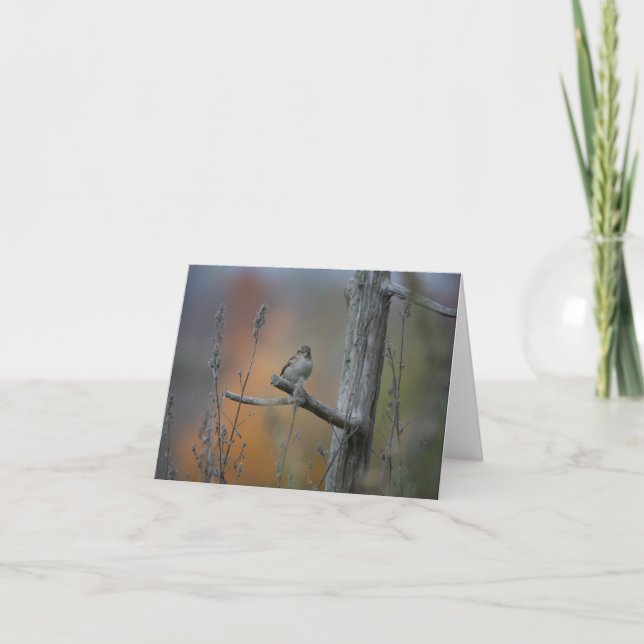 Carte oiseau au relais routier (Devant)
