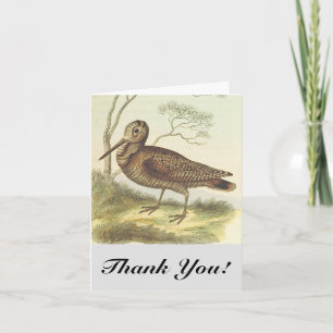 Carte Oiseau au sol, "Merci !", Vintage