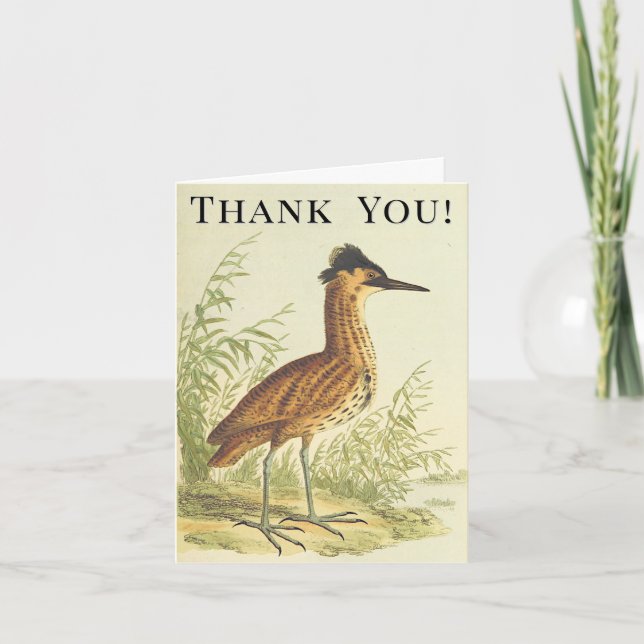 Carte Oiseau au sol, Vintage, "Merci !" (Devant)
