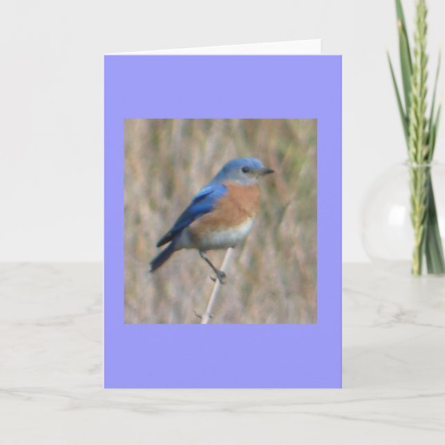 Carte "Oiseau bleu " (Devant)