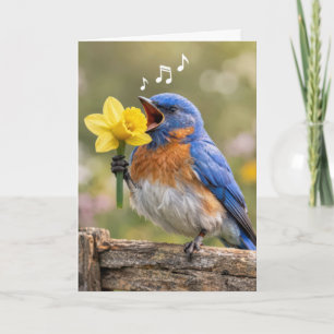 Carte Oiseau bleu d'anniversaire chantant dans un narcis