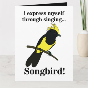 Carte Oiseau chanteur Tit Oiseau drôle Oiseau observatio