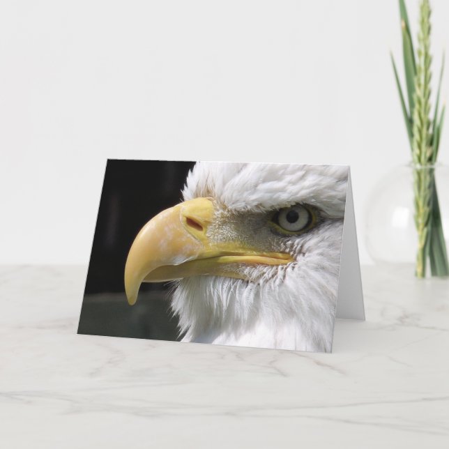 CARTE OISEAU D'AGLE (Devant)