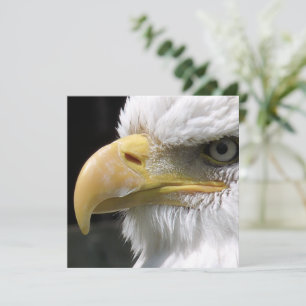 CARTE OISEAU D'AGLE