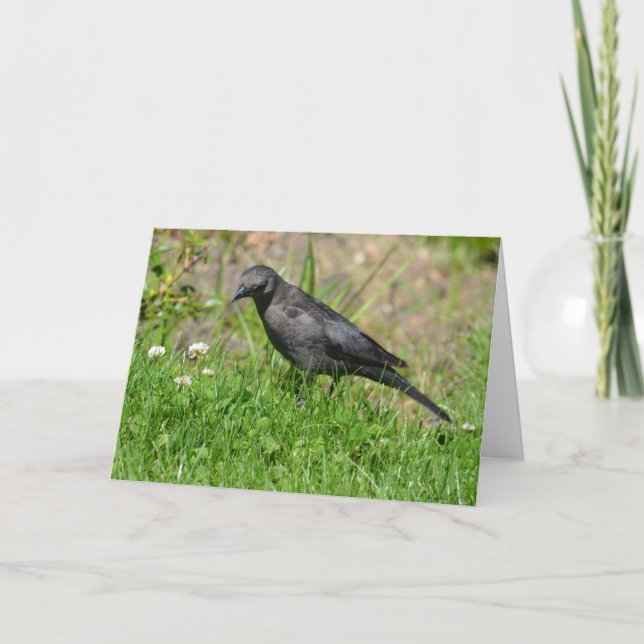 Carte Oiseau dans l'herbe Penser à vous (Devant)