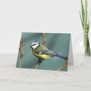 Carte Oiseau de chanson